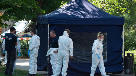 Inventing &lsquo;2nd Skripal case&rsquo;? Moscow rejects any link to asylum-seeker assassination in Germany