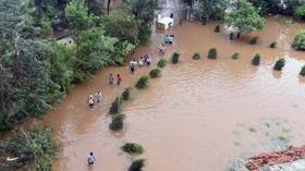 Indian elephants washed away by surging rivers as floods wreak havoc in Kerala (VIDEO)