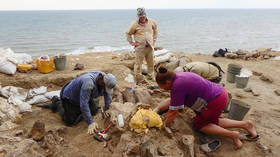 ‘Sensational’: First ever ANCIENT male rhino skull found in Russia