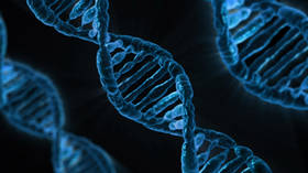 One-hit wonder? Revolutionary CRISPR machine can edit hundreds of genes at once