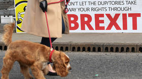 Brexit implosion made in Britain... as Johnson blames everyone else