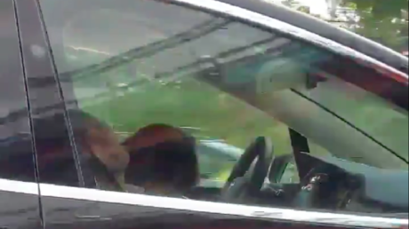 Tesla driver filmed in deep sleep as his vehicle speeds down busy turnpike (VIDEO)