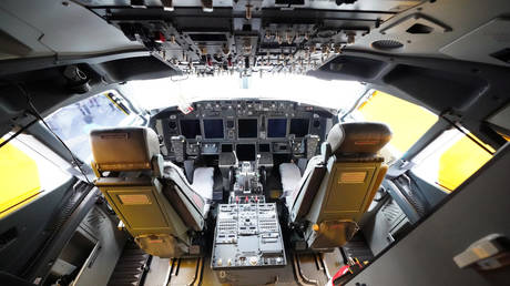 Flames engulf engine as bird strike prompts terrifying EMERGENCY LANDING (VIDEO)