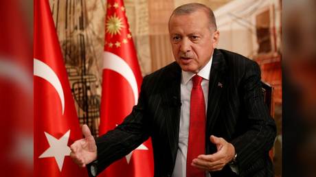 Erdogan spoke with Reuters in Istanbul. © Reuters / Umit Bektas