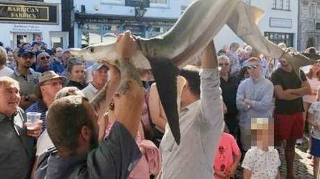 Jaws drop online as blue shark paraded through streets of UK town before being cooked and eaten