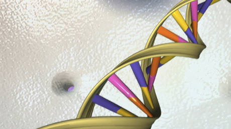 DNA ‘echoes’ of ancient viruses could help to kill cancer, new research finds