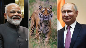 ‘We share love for tigers’: Modi boasts of ‘special chemistry’ with Putin