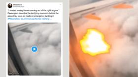 Flames LEAP OUT OF ENGINE as bird strike prompts terrifying emergency landing (VIDEO)