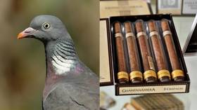 SPY PIGEONS & KILLER CIGARS: Weird ways CIA tried to win the Cold War