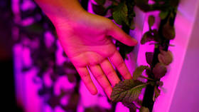 Iran FM spokesman rejects UK’s blame for oil field attacks, slams British ‘war crimes’ in Yemen