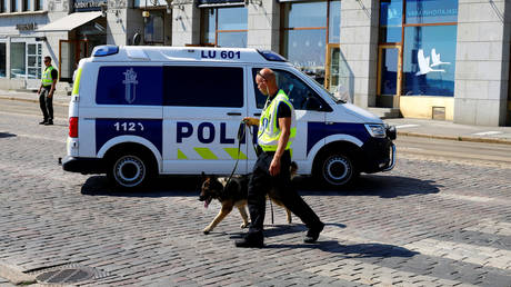 Student launched deadly attack at Finnish school using a sword &ndash; eyewitnesses