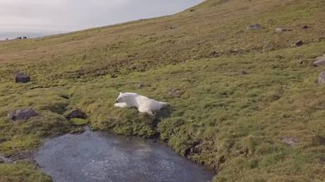 No warplanes or tanks: Russian military releases RELAXING VIDEO from picturesque Arctic archipelago