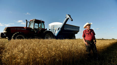 Beijing ready to discuss partial trade deal with Washington & increase agricultural purchases - reports