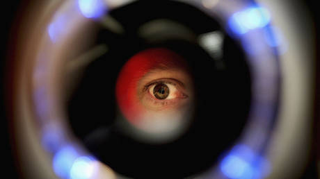 UK govt gave green light to passport photo checker IGNORING fact it would fail people with dark skin - report