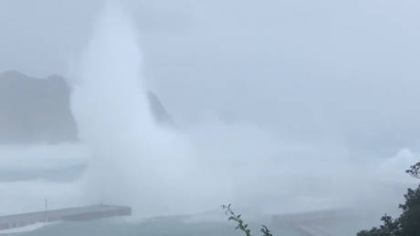 Flooding, devastation, trapped residents as Typhoon Hagibis hits Japan killing at least 14 people (PHOTO, VIDEO)