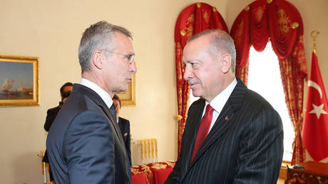 Turkish President Erdogan meets with NATO Secretary-General Jens Stoltenberg. © Handout via REUTERS / Presidential Press Office / Murat Cetinmuhurdar