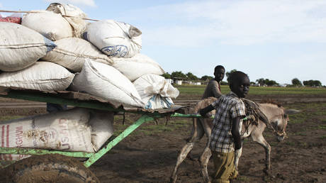 Displaced children carry food aid on a donkey cart in Agok, in the Abyei region, South Sudan