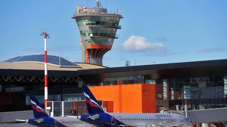 Russian gun activist Maria Butina, who spent months in US jail, arrives in Moscow