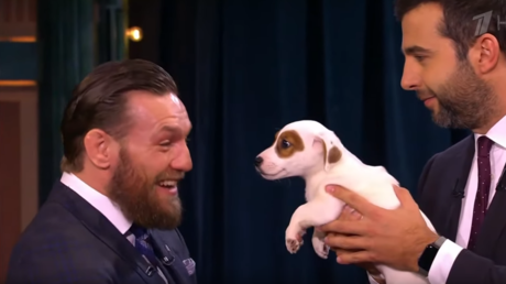 Conor McGregor shows softer side as UFC star faces off against furry rivals on Russian talk show (VIDEO)