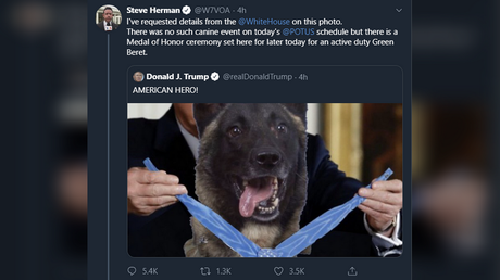 5dba0ba8203027439c375af3 ‘Hard-hitting journalism’: Reporter FACT-CHECKS blatantly photoshopped image of ‘American hero dog’ being honored by Trump
