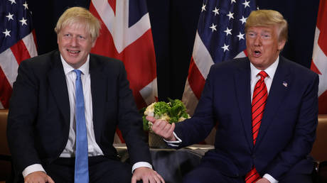 5dbb2c2885f54049b54f12fc Trump urges his UK ‘friends’ Boris Johnson & Nigel Farage to unite ahead of Brexit