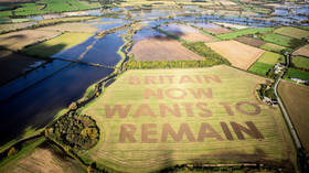 ‘Britain now wants to remain’: Anti-Brexit campaigners’ POWERFUL VIDEO set in English countryside goes viral