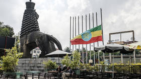 Russia & Ethiopia agree cooperation on peaceful use of nuclear energy