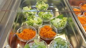 Ban meat to save the planet? Swedish preschool conducts mandatory vegan diet ‘experiment’