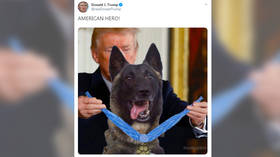 Fact-checking Trump’s dog tweet shows once again MSM journalists don’t understand memes