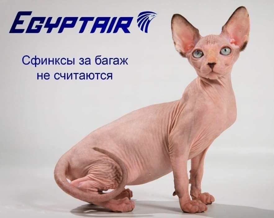 RT