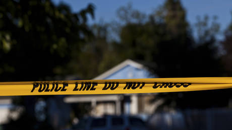 5dbbf131203027022c37a7d1 4 killed, several injured at Halloween party shooting in California – reports