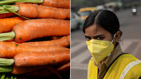 5dc13c882030273f22796d56 Pakistan released POISONOUS GAS to pollute Delhi’s air, Indian politician claims