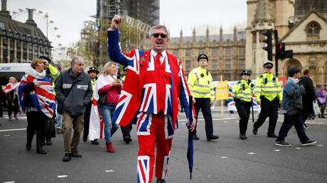 A pro-brexit protester gestures outside the Parliament in Westminster © Reuters / Henry Nicholls