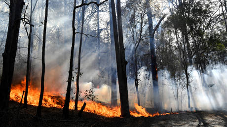 Several killed, 100+ homes destroyed & koala habitat wiped out in Australia brush fires (PHOTOS, VIDEOS)