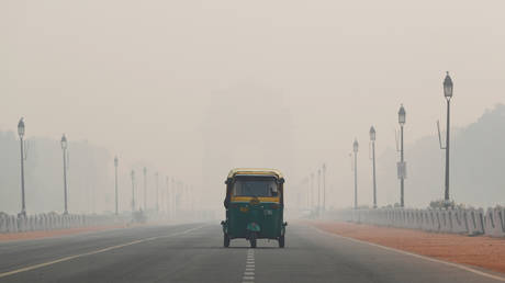 ‘Better kill them with explosives!’ India’s Supreme Court says air pollution turned New Delhi into a ‘gas chamber’