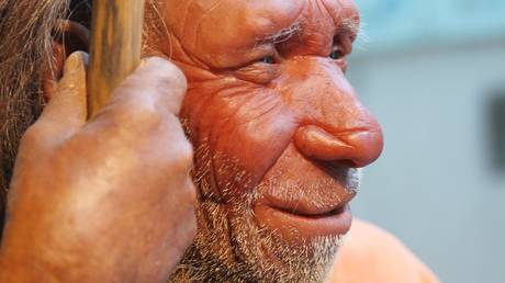 Not our fault? Neanderthals’ extinction may have been due to sheer bad luck