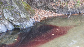 Nothing to see here: Rivers along Korean border run red with blood after massive pig cull (PHOTOS)
