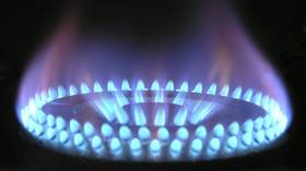 California restaurants sue Berkeley over natural gas ban