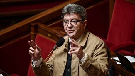 Melenchon slapped with 3-month suspended sentence for intimidating officials - reports