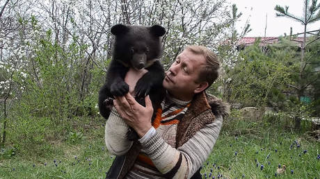 Taigan director Oleg Zubkov playing with a recently-born Himalayan black bear. ©  YouTube / ТАЙГАН Сафари Парк Львов / Татьяна Алексагина