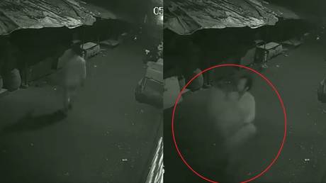 Two Indian men arrested for allegedly stealing 168kg of onions, theft caught on CCTV camera (VIDEO)