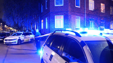 Dozens detained on suspicion of preparing major terrorist attack in Denmark