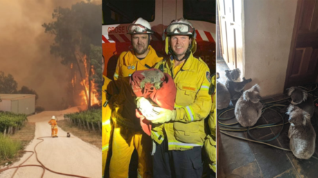 &lsquo;Baby Yoda vibes&rsquo;: Aussie firefighters warm hearts with VIRAL pics of rescued koalas
