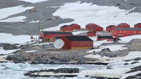 Honey, I shrunk my head! Scientists discover prolonged stay in Antarctic has chilling effect on brain