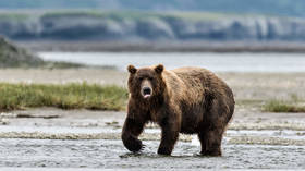 The Russian bear is a decidedly different animal: Russia's economy is signaling an oil price rally