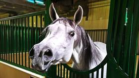 Neigh-neigh: Man tortures neighbors with horse sounds at night for almost 2 years & now faces prison