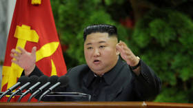 North Korea won’t stop nuclear expansion in face of US threat - but US attitude adjustment can work wonders, Kim says