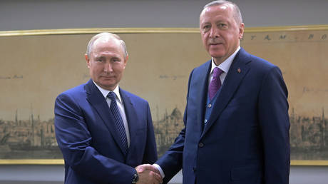 Recep Tayyip Erdogan and Vlavimir Putin meet in Istanbul © Reuters / Sergei Guneev