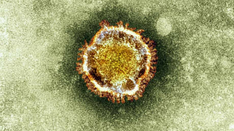 A electron microscope image of a coronavirus © Reuters / Health Protection Agency