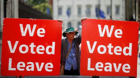 A pro-Brexit demonstrator outside the Houses of Parliament in London ©  Reuters / HENRY NICHOLLS